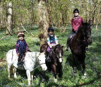 Calm Enough To Go On Easter Egg Hunt With The Children\'s Ponies Thanks To Bespoke